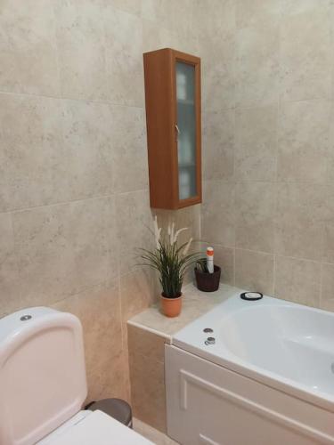 Casa de Freixo – photo 3