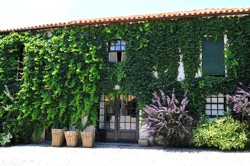 Casa Stº Antº Britiande
