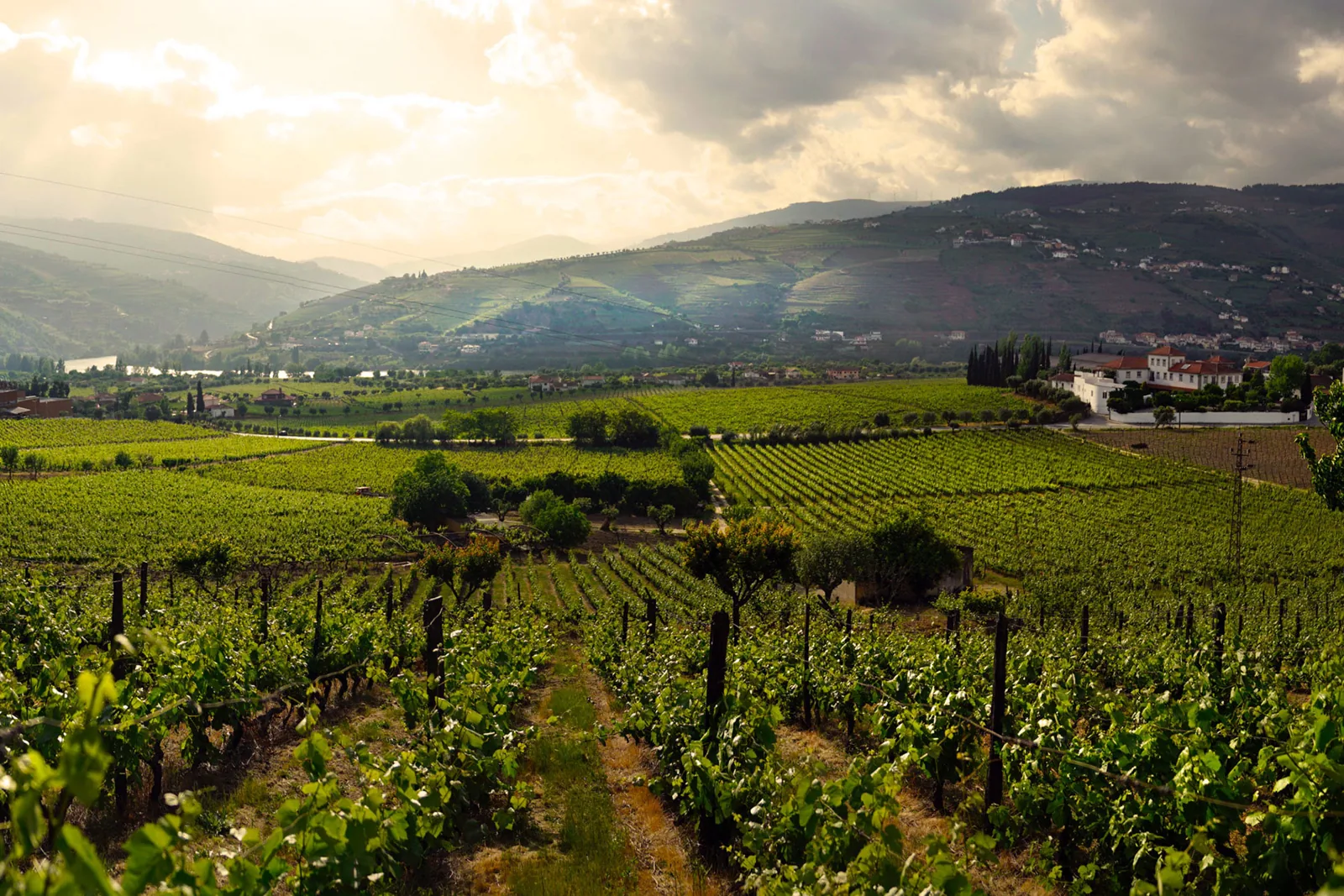 Quinta de Tourais – photo 5