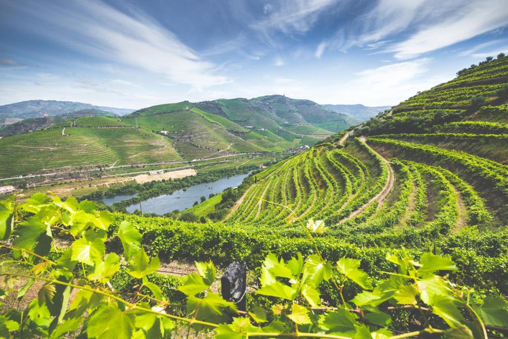 Quinta do Valdalágea