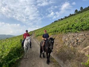 Quinta do Valdalágea – photo 5