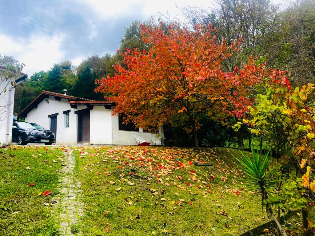Casa mémé