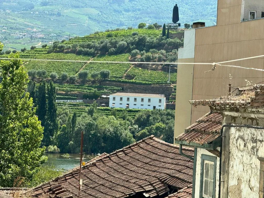 Casa da Estação 2 – foto 6