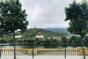 Casa do Adro- Douro – Foto 6