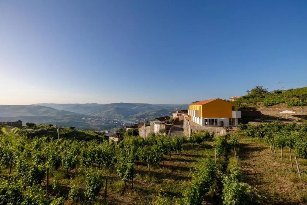 Casas da Quinta de Santa Cruz - Douro Land – foto 5