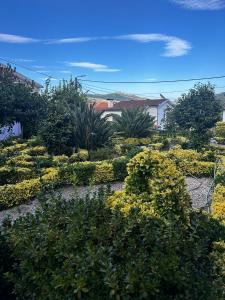 Casa Teles – Foto 6