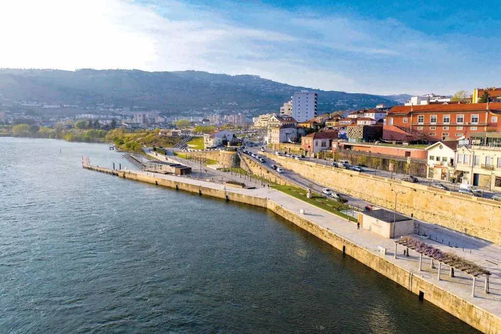 Ninho D'ouro – foto 6