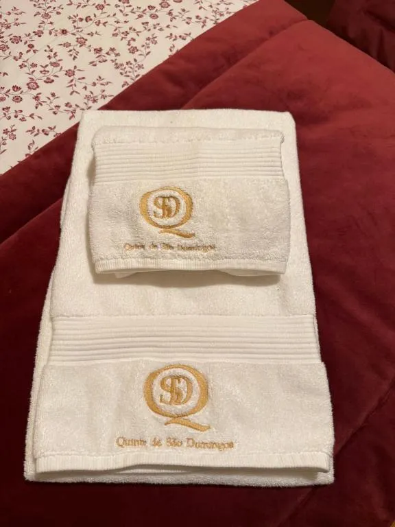 Quinta de São Domingos house – foto 6