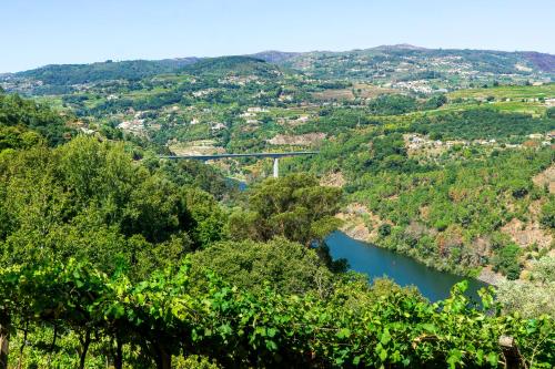 Cherry Douro Hill – photo 2