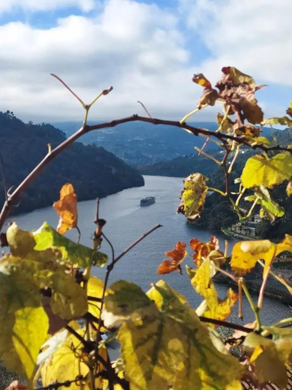 Quinta do Vale do Cabo