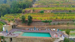 Quinta de Travassinhos- Douro Valley & Spa – photo 6