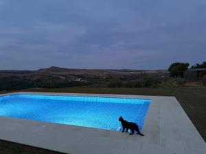 Quinta da Cabrida - Casa dos Senhores - Douro – foto 4