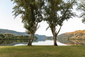 Olhares do Douro "A casa do Avô Zé" – foto 6
