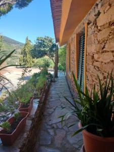 Casa de Canelas - Refugio Terroir – Foto 6
