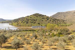 Douro Elegance Suites – photo 6