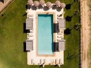 Quinta da Terrincha – photo 4