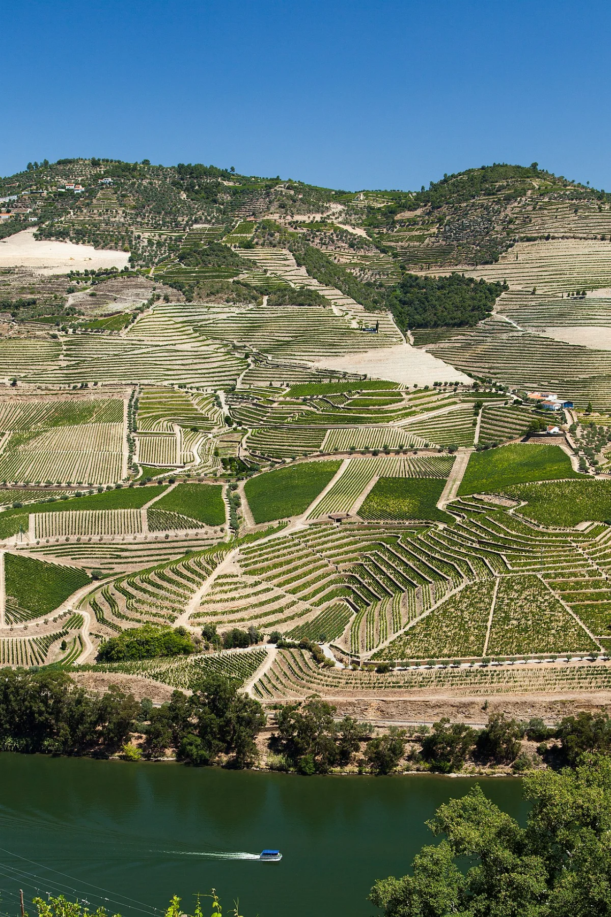 Douro Alive Festival 2026 — Peso da Régua