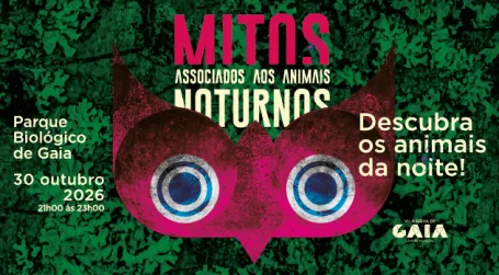 Myths Associated with Nocturnal Animals