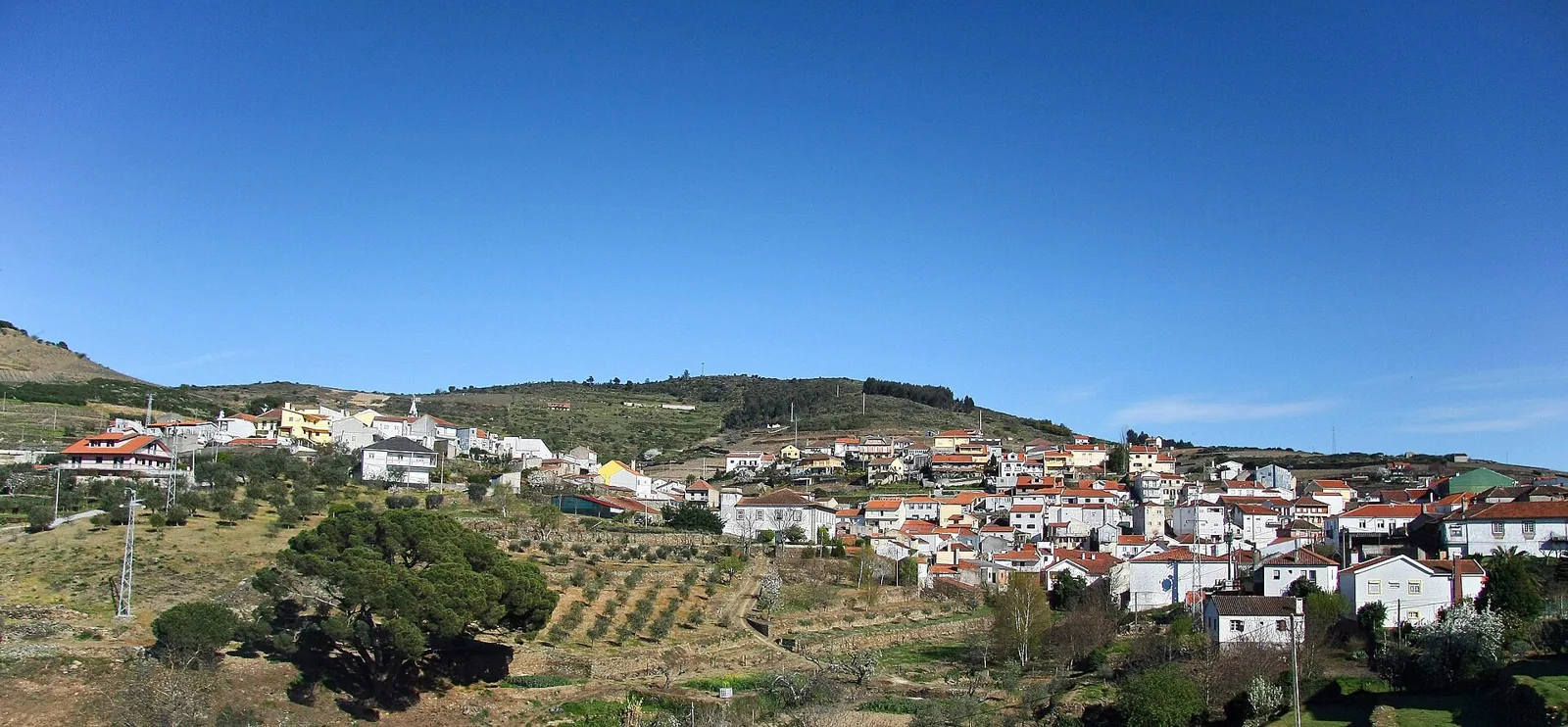Ervedosa do Douro