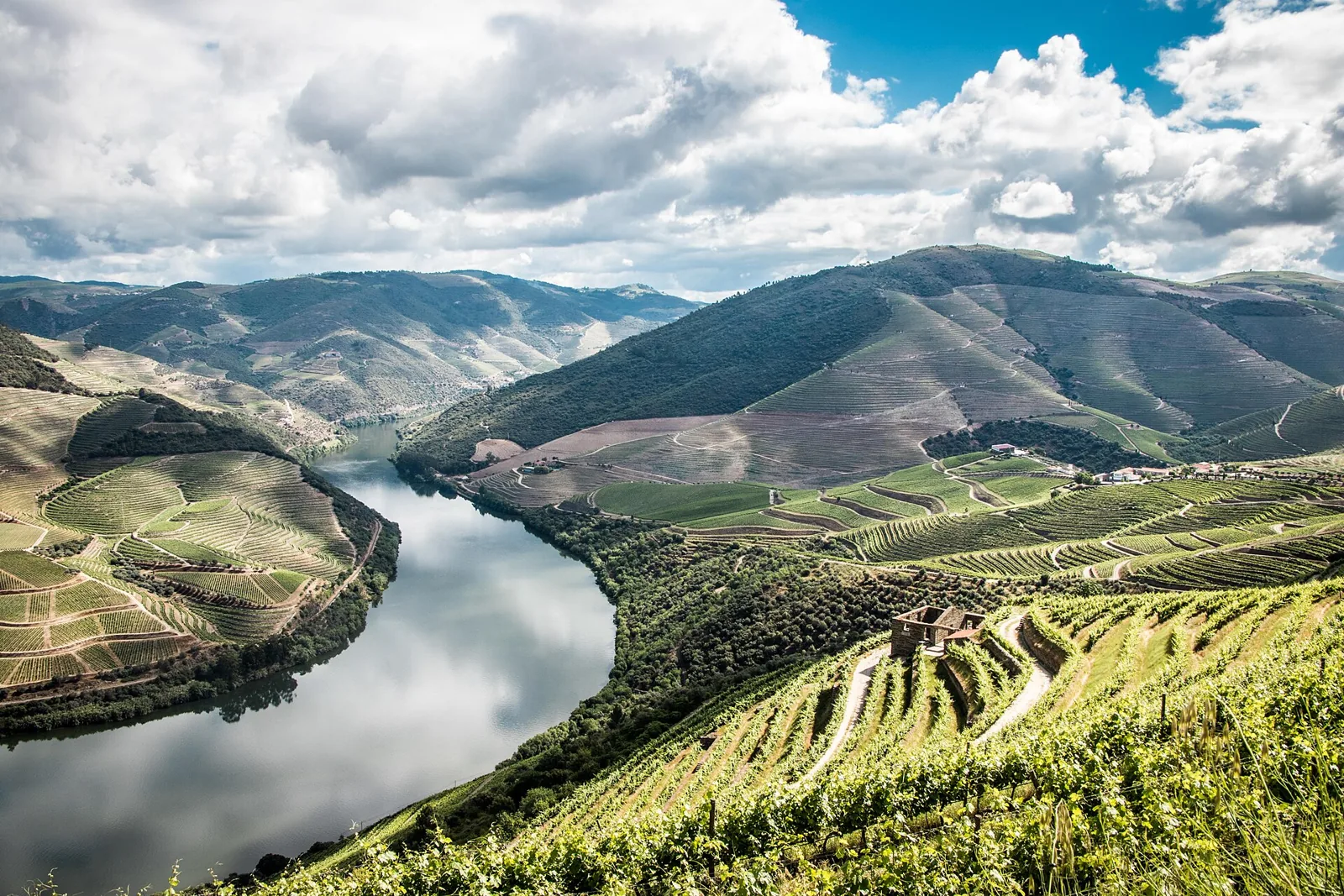 Meandro do Douro na zona de Ventozelo, em Ervedosa do Douro