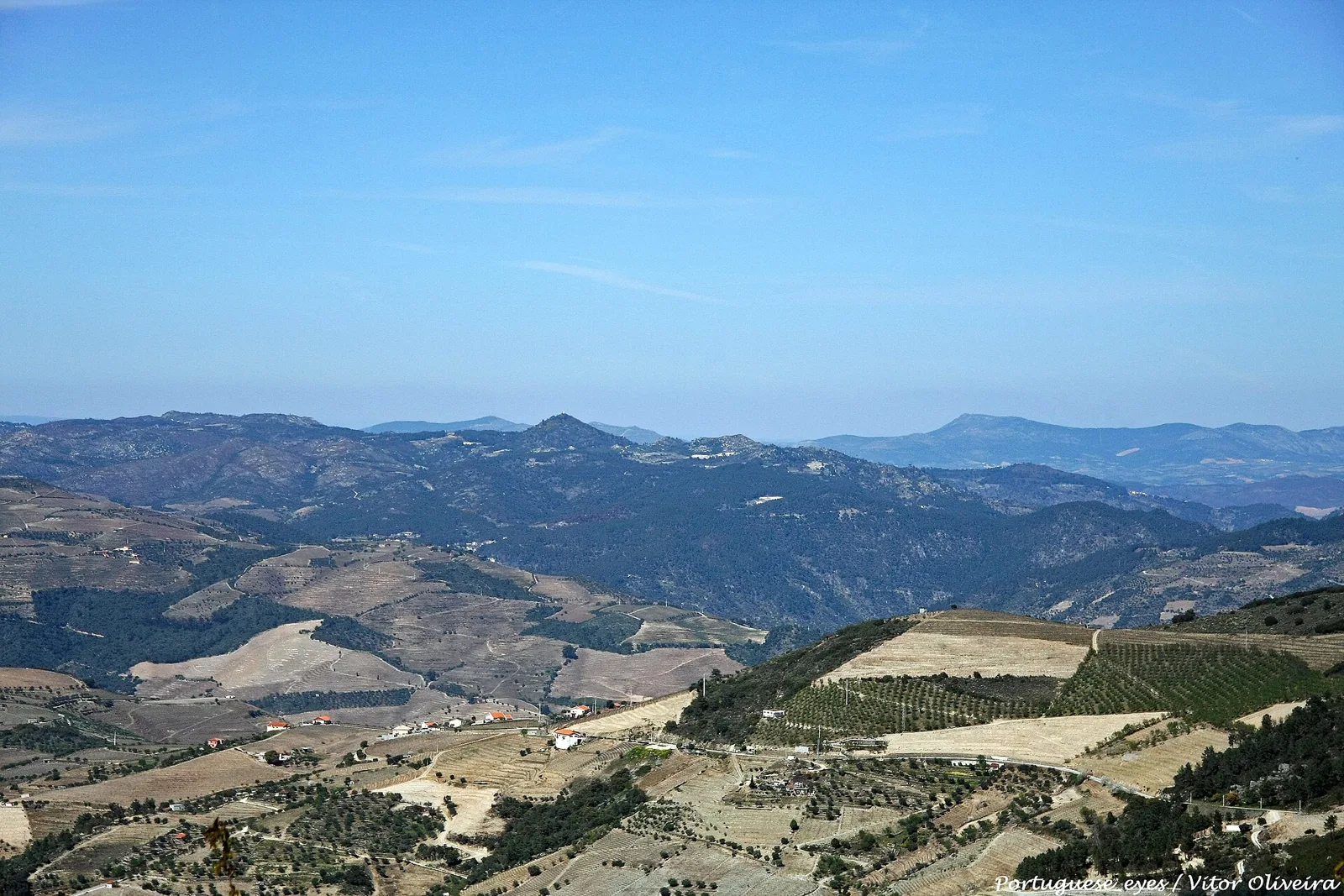 Paisagem duriense vista do Miradouro da Senhora do Monte, em Ervedosa do Douro