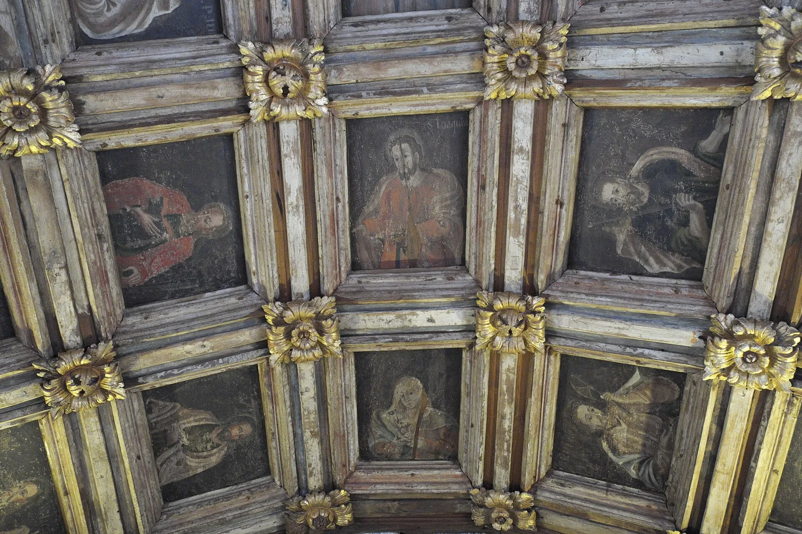 Painted coffered ceiling in the Chapel of São Pedro de Balsemão