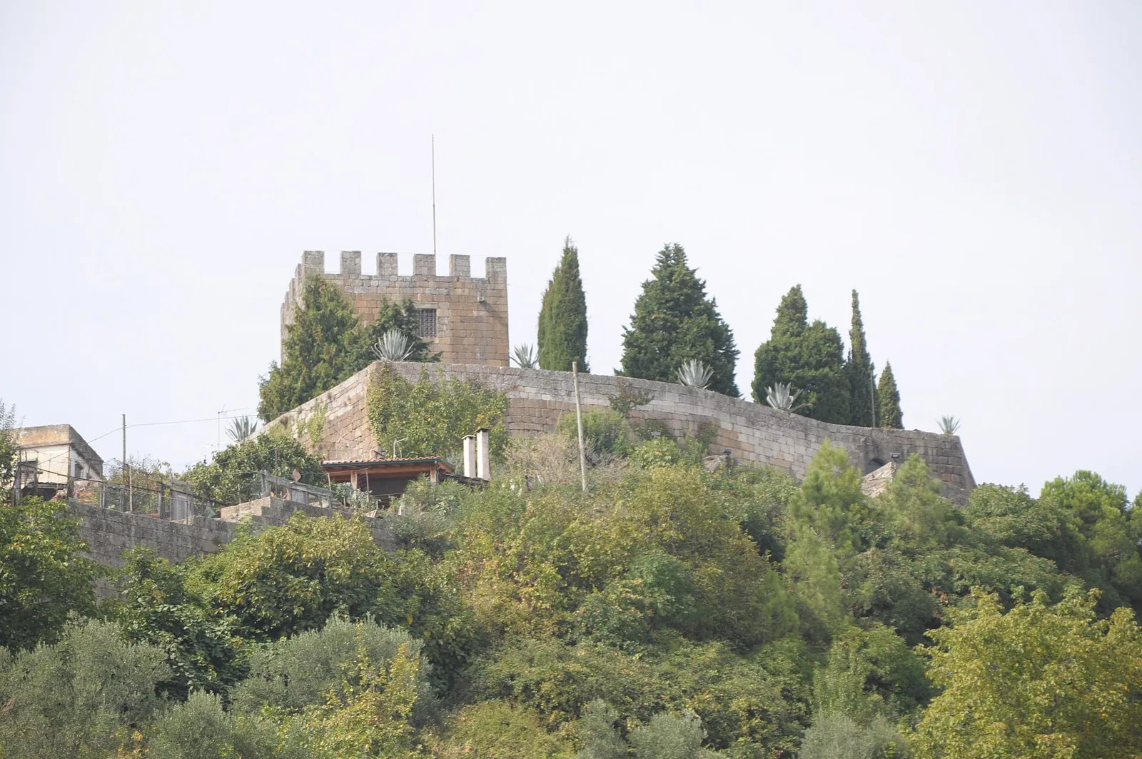 Keep of Lamego Castle among cypresses, with the wall