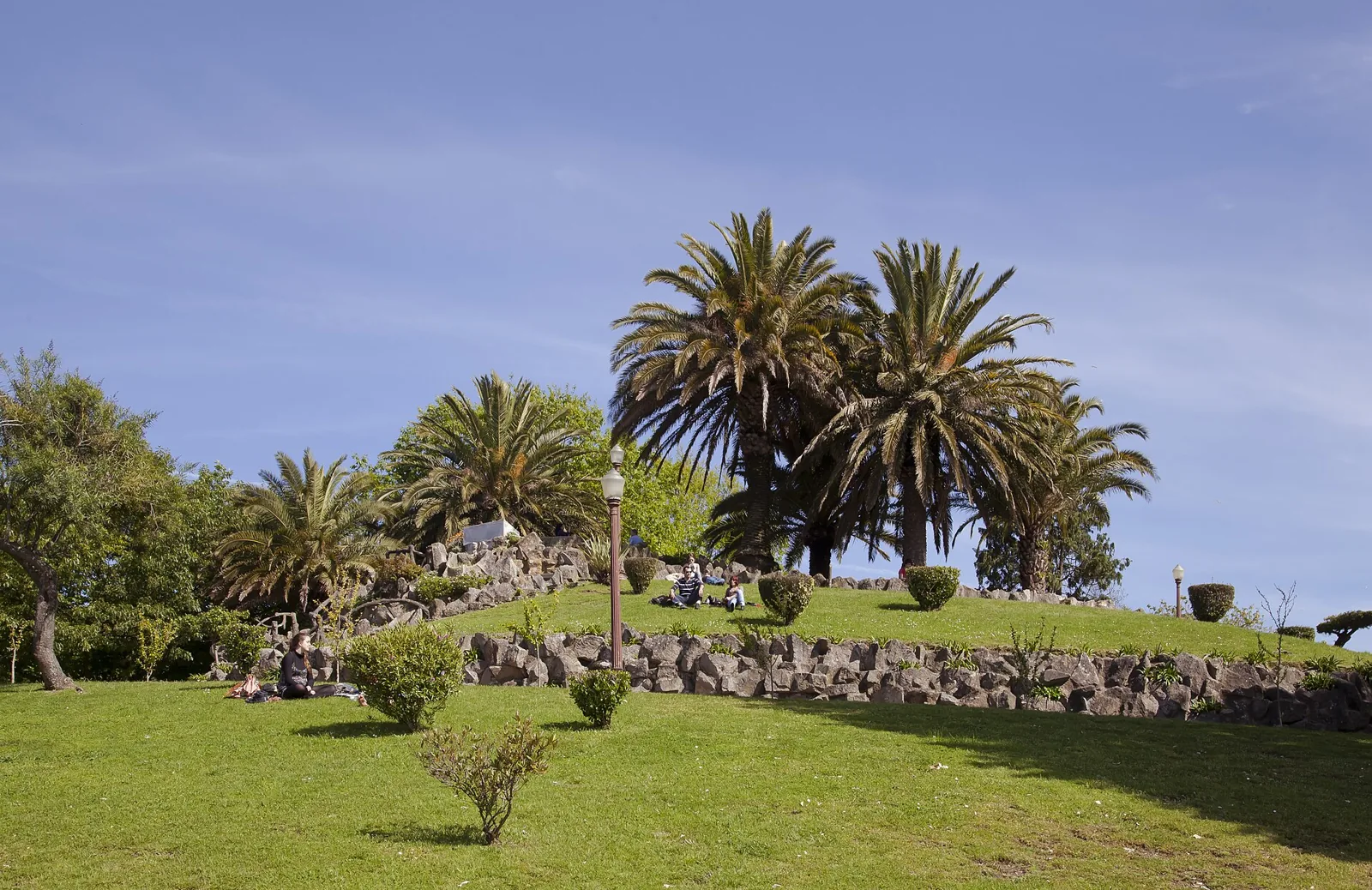 Relvado do Jardim do Morro com palmeiras e um pequeno muro de pedra