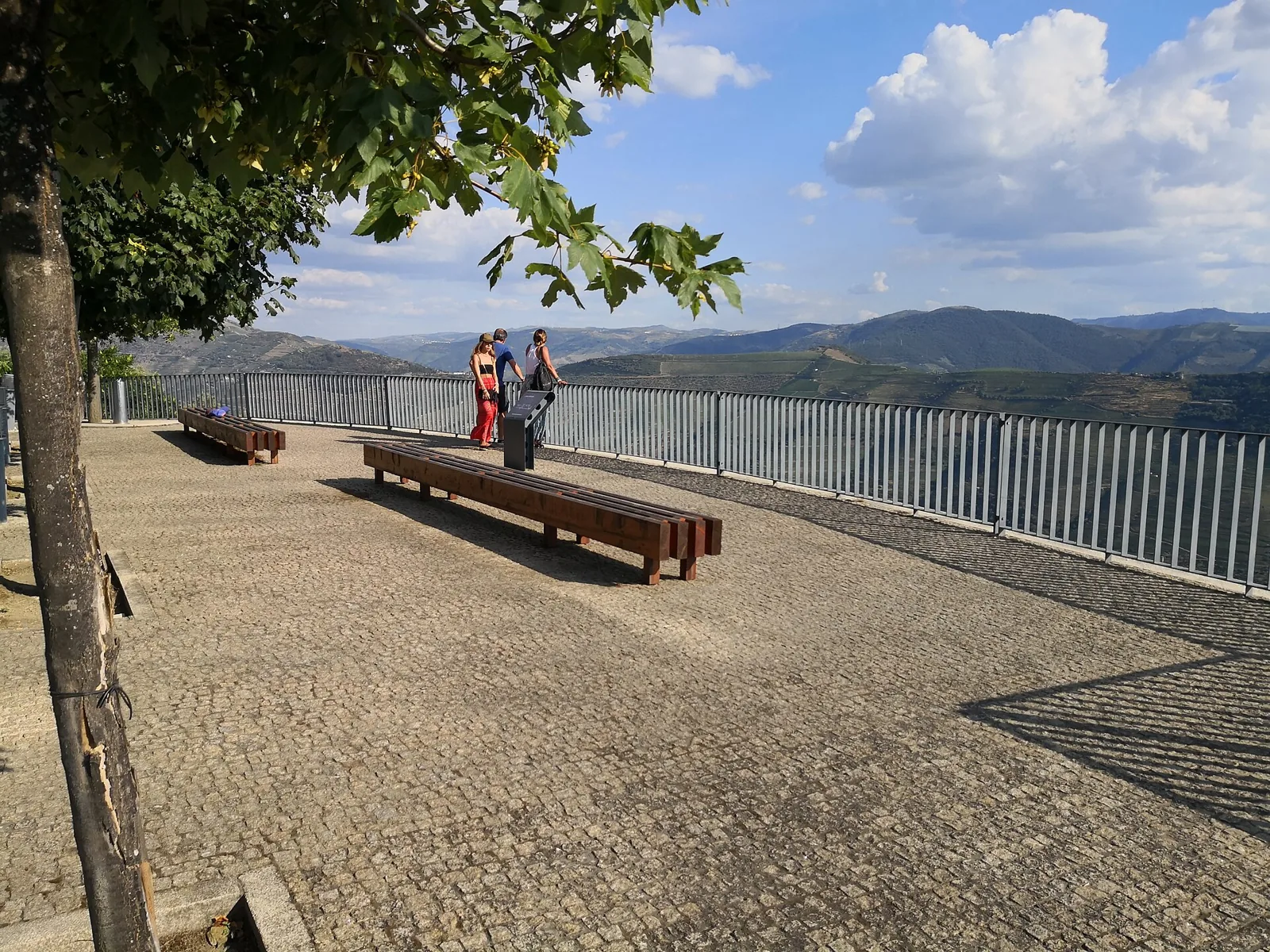 Vista sobre o Douro a partir de Casal de Loivos