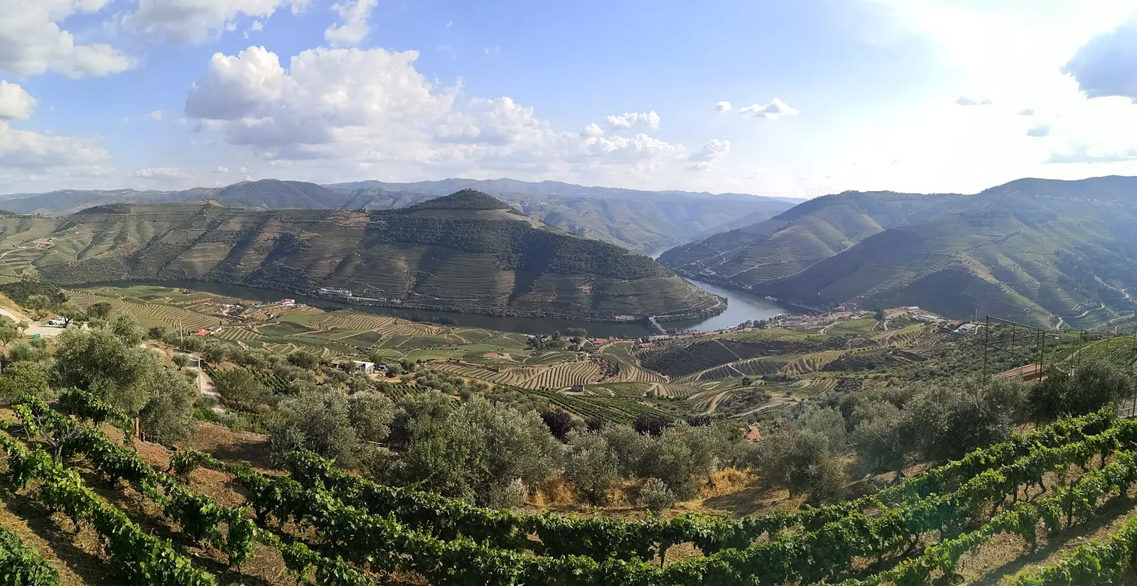 Panorama des Douro-Tals vom Aussichtspunkt Casal de Loivos mit Weinbergen und Olivenbäumen