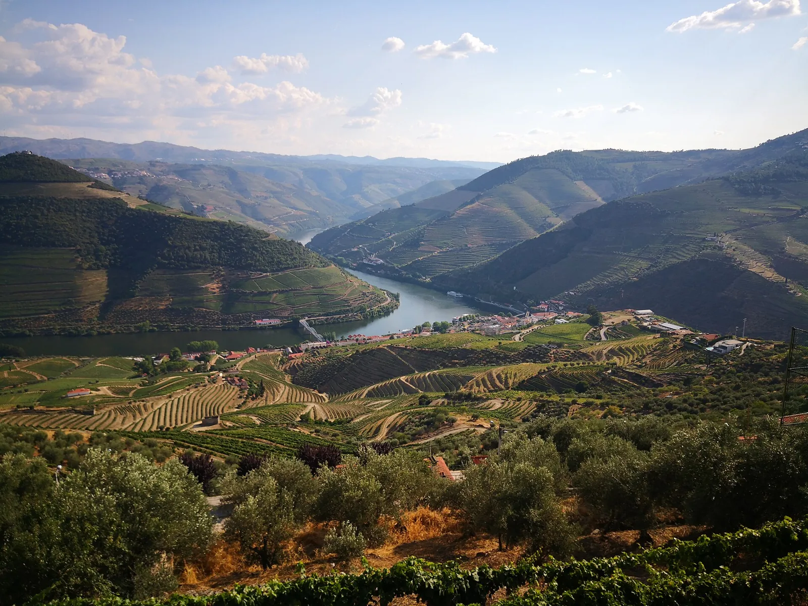 Der Douro und die Weinbergshänge, gesehen vom Aussichtspunkt Casal de Loivos
