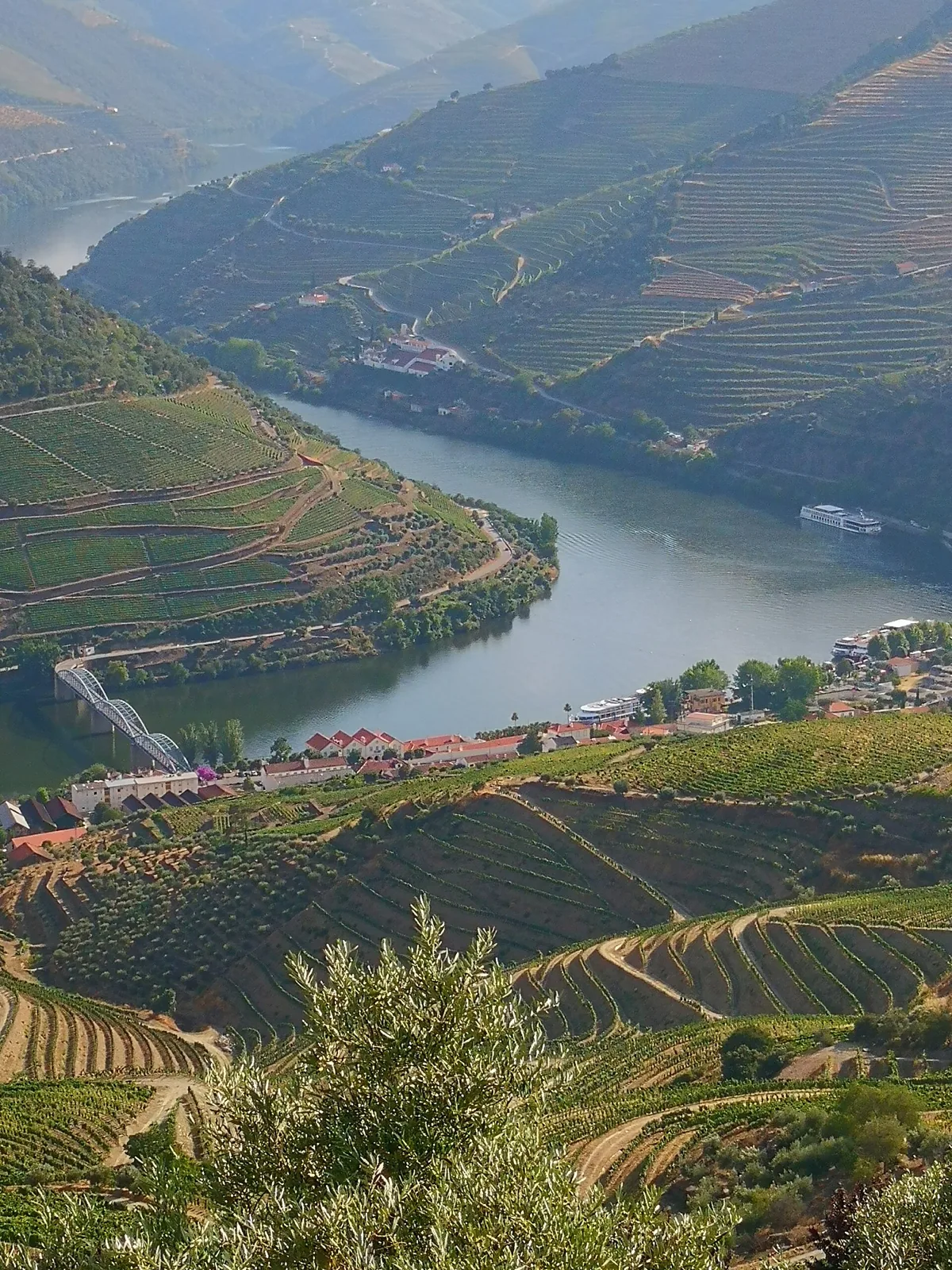 Douro-Schleife und Terrassenweinberge bei Pinhão, gesehen von Casal de Loivos