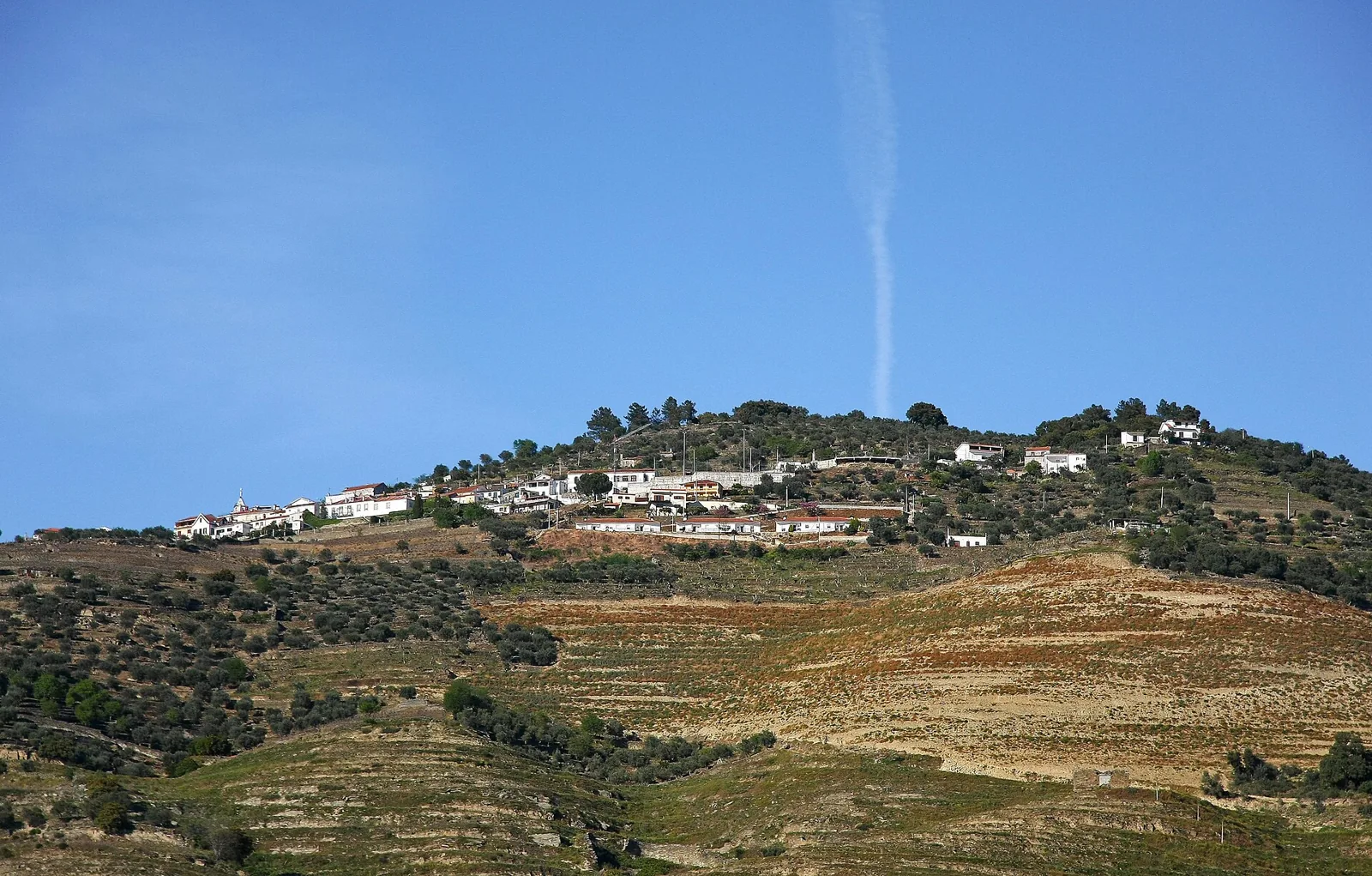 Das Dorf Casal de Loivos auf der Hügelkuppe, umgeben von Terrassenhängen