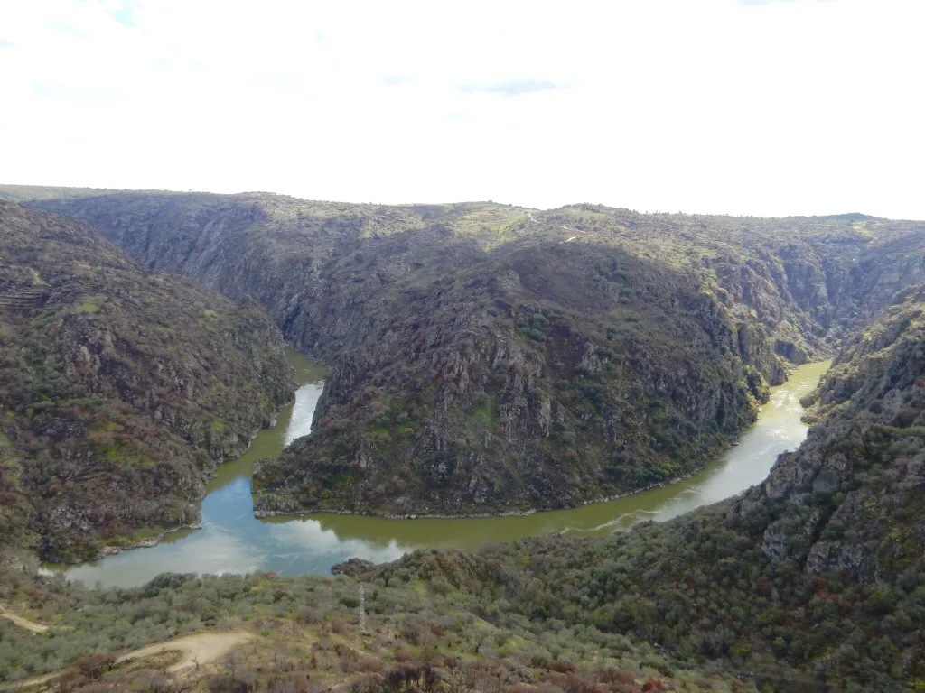 Meandro do Douro visto do miradouro de Picote, no Parque Natural do Douro Internacional