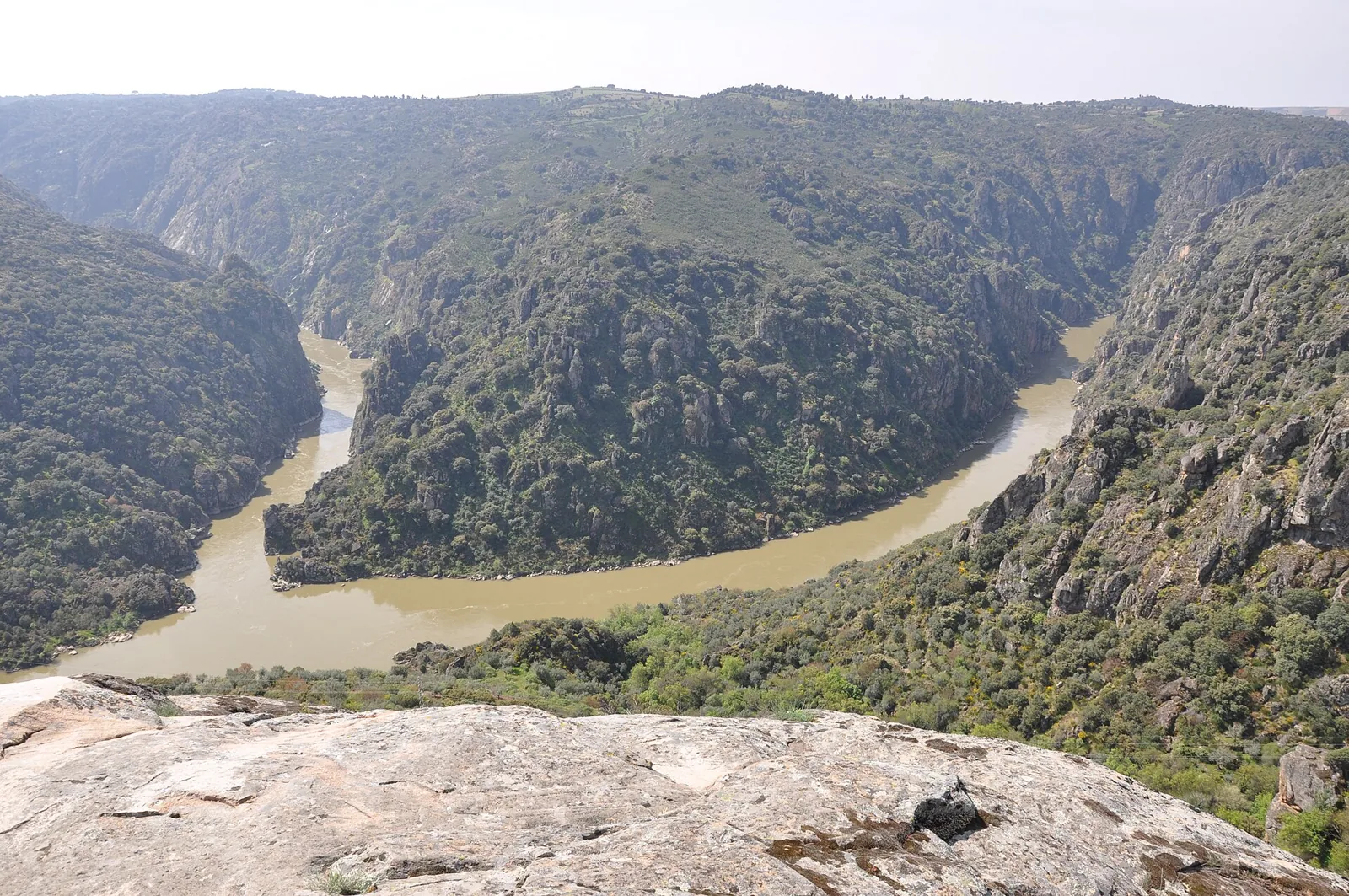 Rocha e vale encaixado do Douro visto da Peinha de l Puio, em Picote