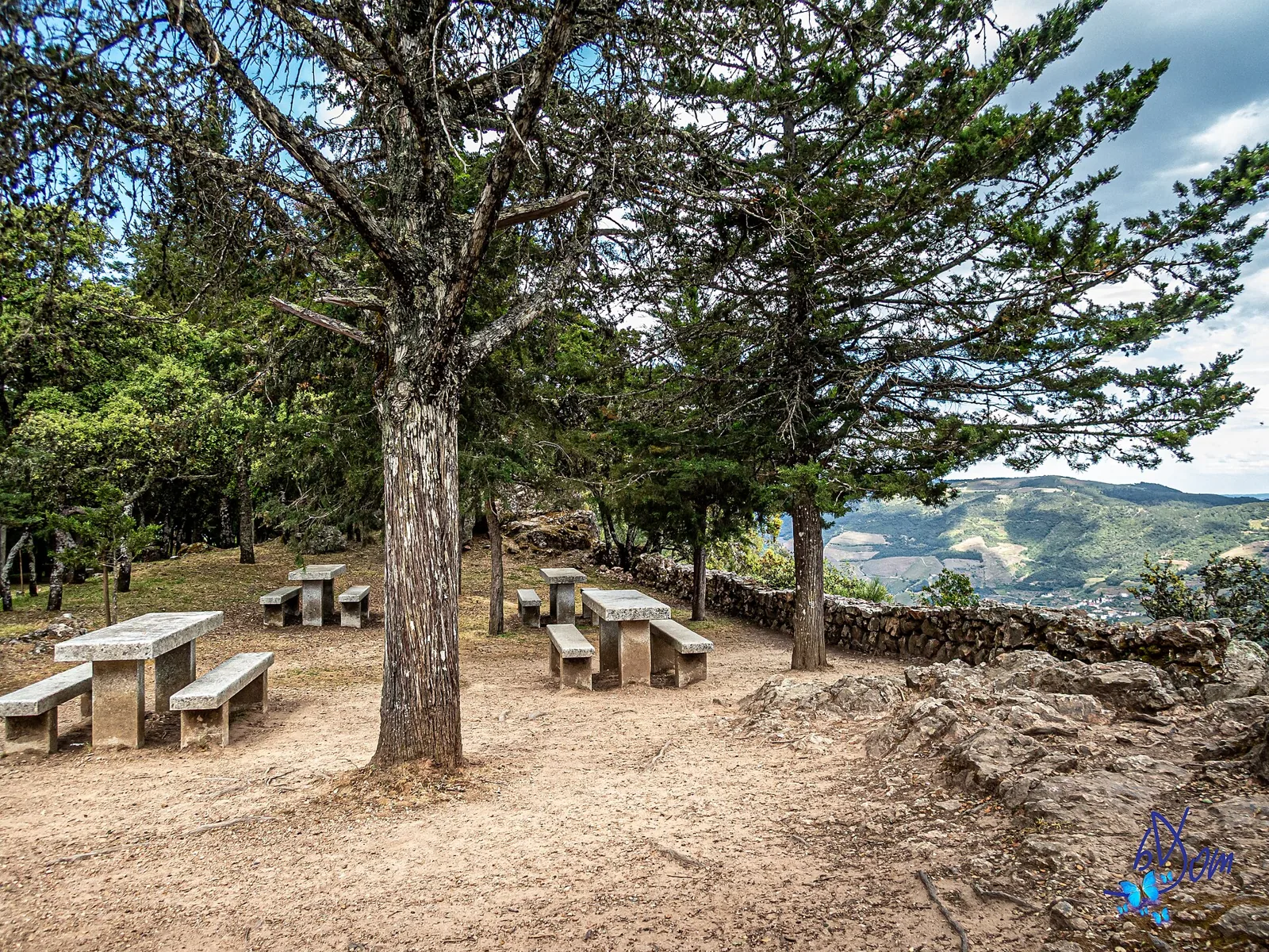 Zona de merendas à sombra dos pinheiros no Miradouro de São Leonardo da Galafura