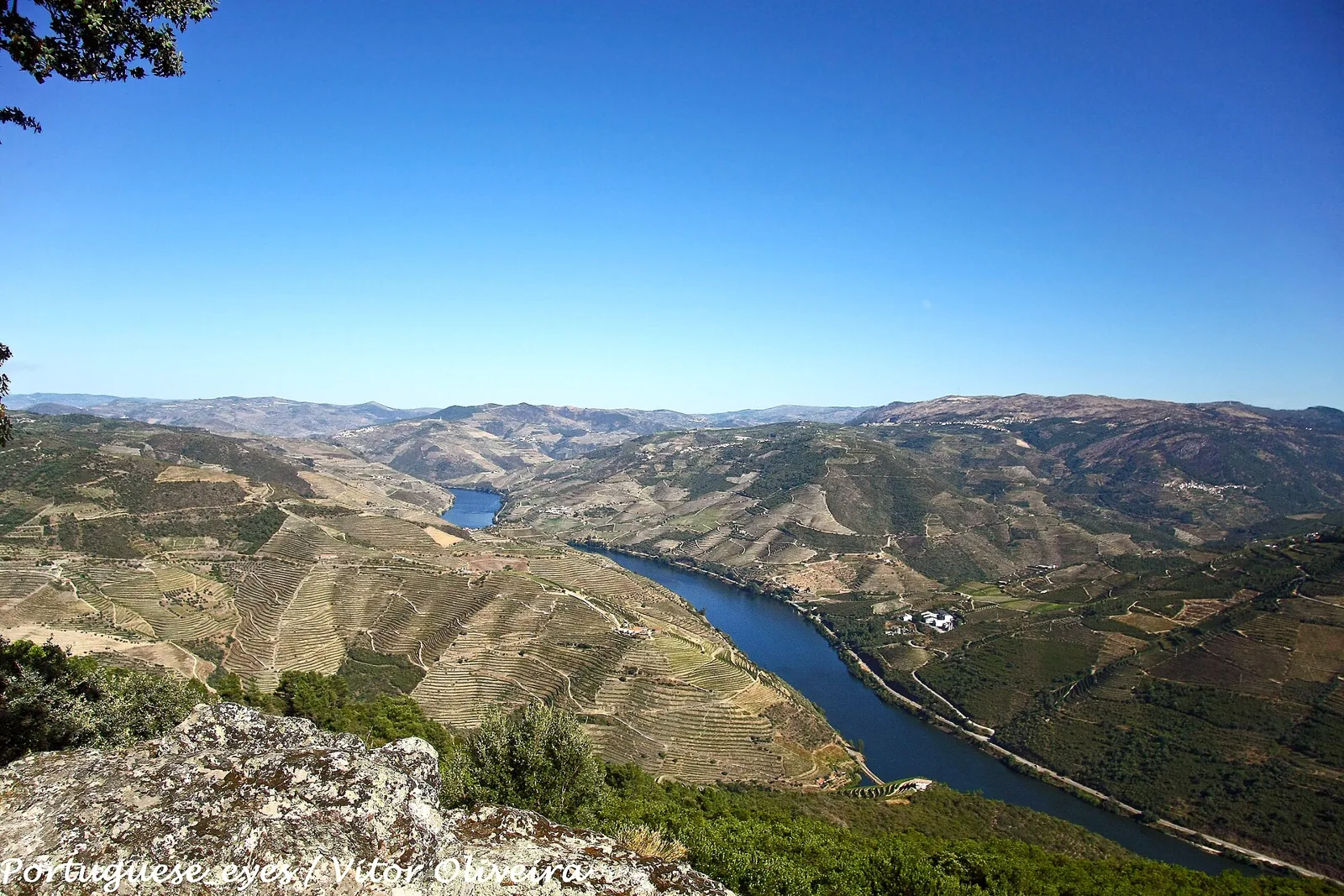 Vale do Douro e socalcos vistos do Miradouro de São Leonardo da Galafura