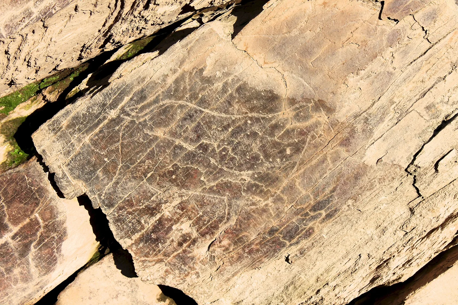 Gravierte Felsoberfläche an der Felskunststätte Penascosa, Côa-Tal