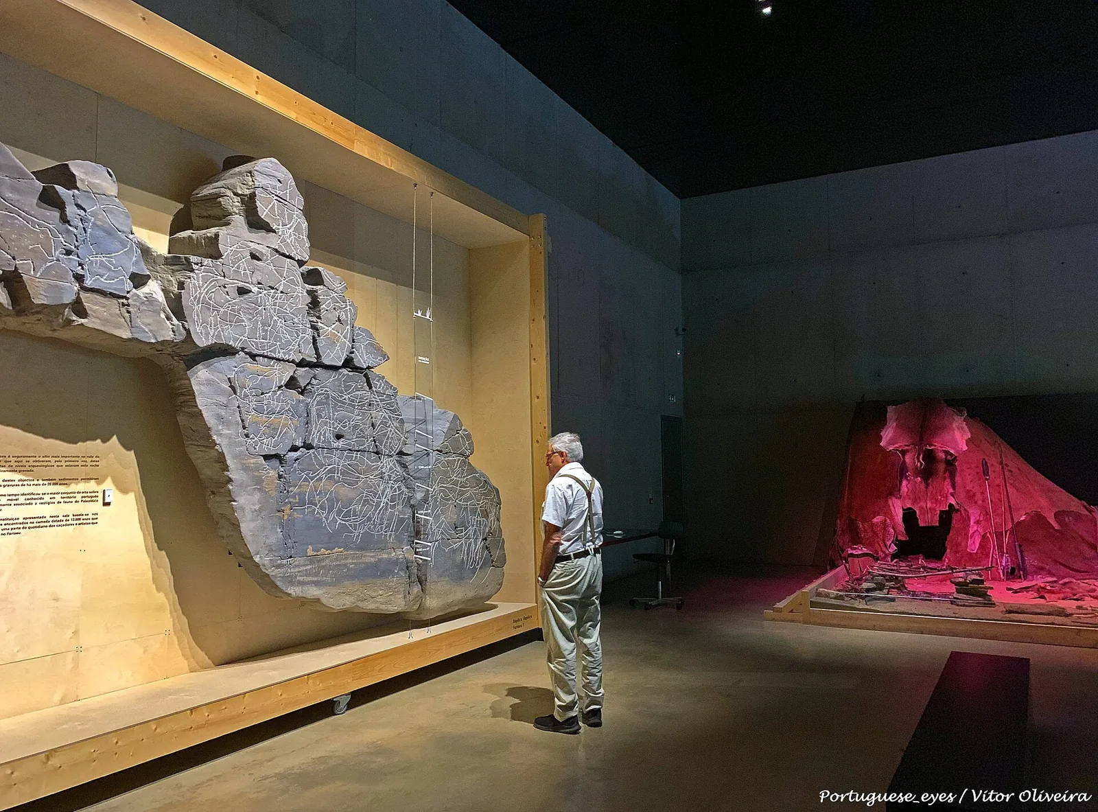 Gravierter Fels in einem Ausstellungssaal des Museu do Côa