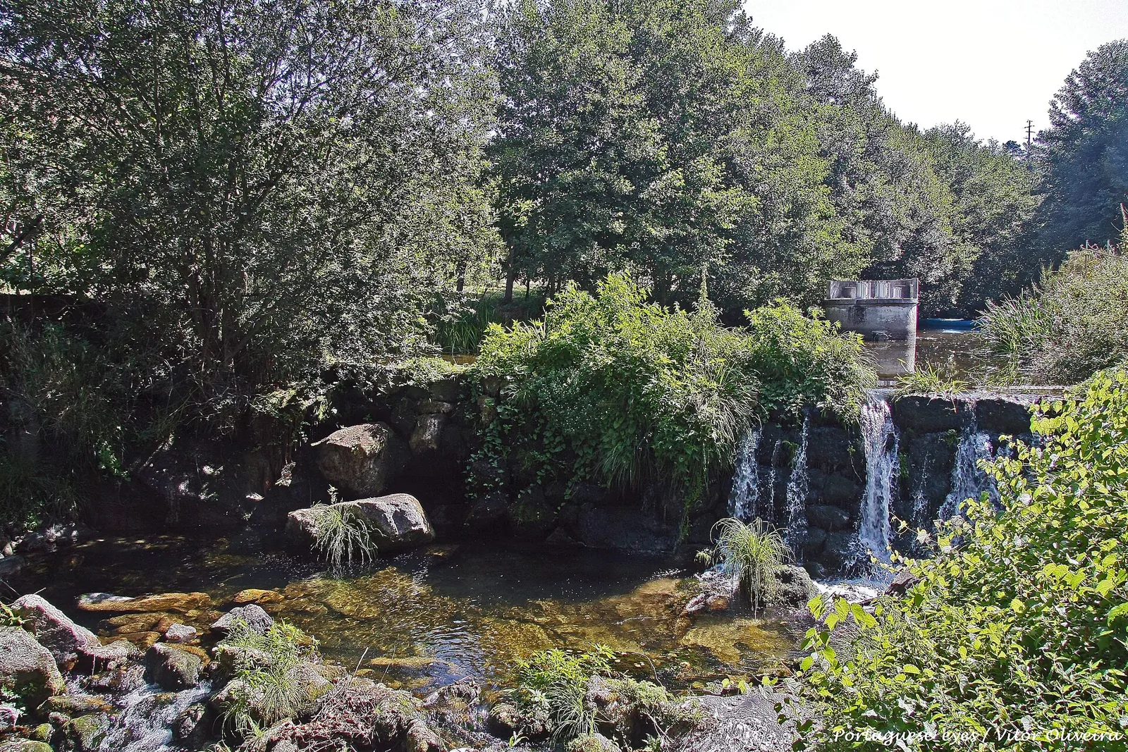 Zona Fluvial de Campelo e Ovil