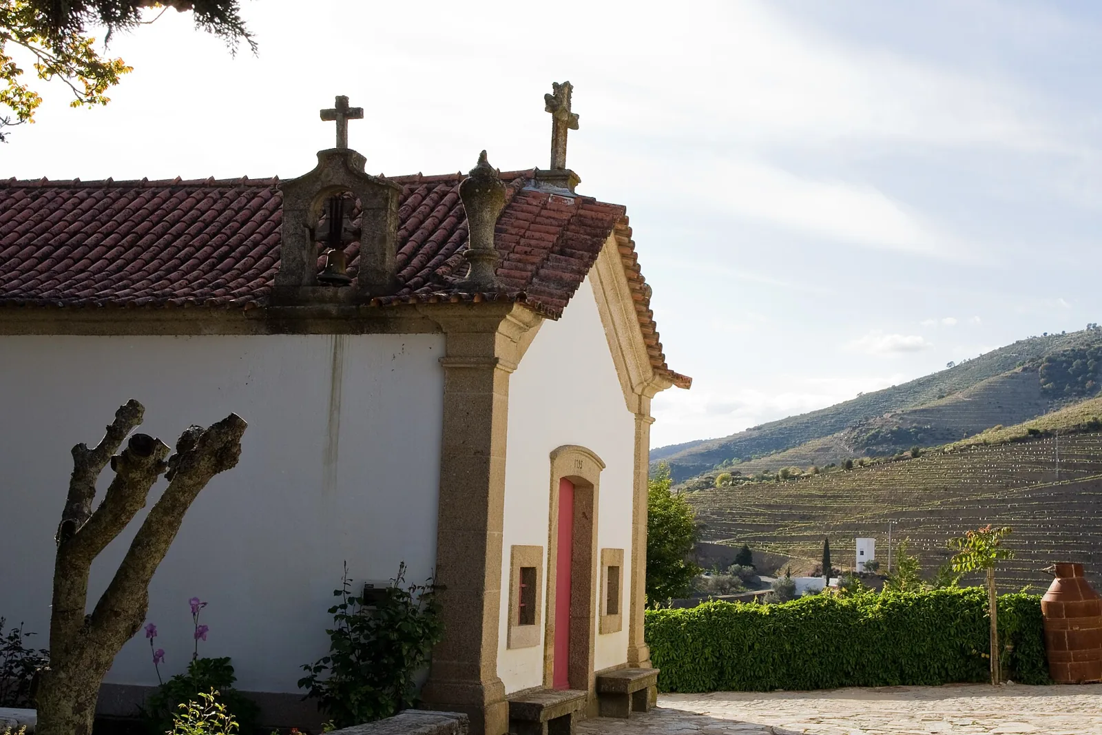 Capela da Quinta Nova de Nossa Senhora do Carmo, com vinha ao fundo