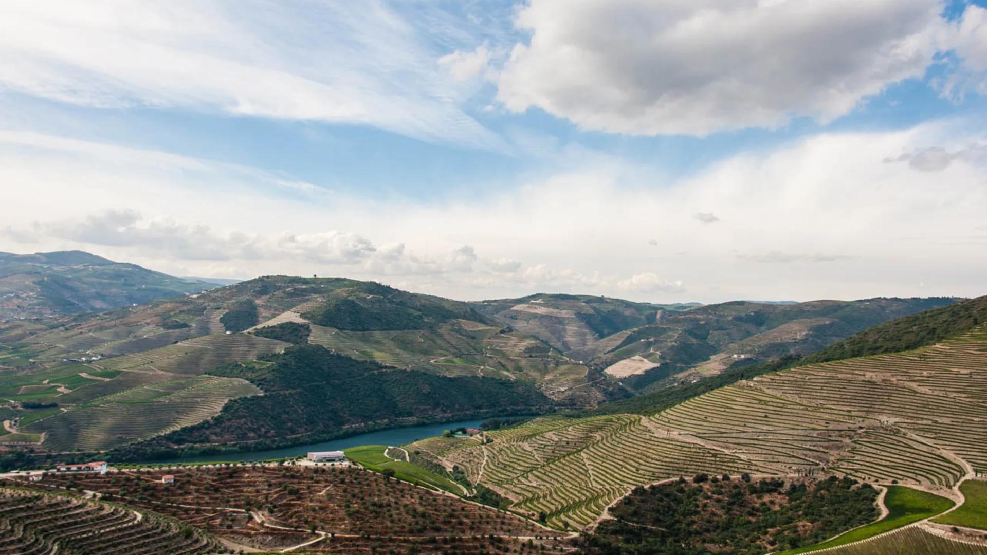 O Que Fazer no Douro: Guia Completo de Atividades