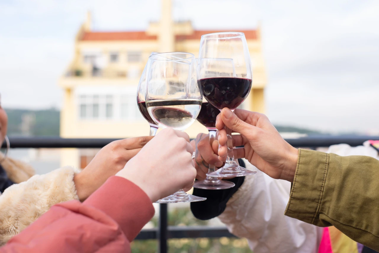 Vinhos a Descobrir 2026 — Edição das Vindimas