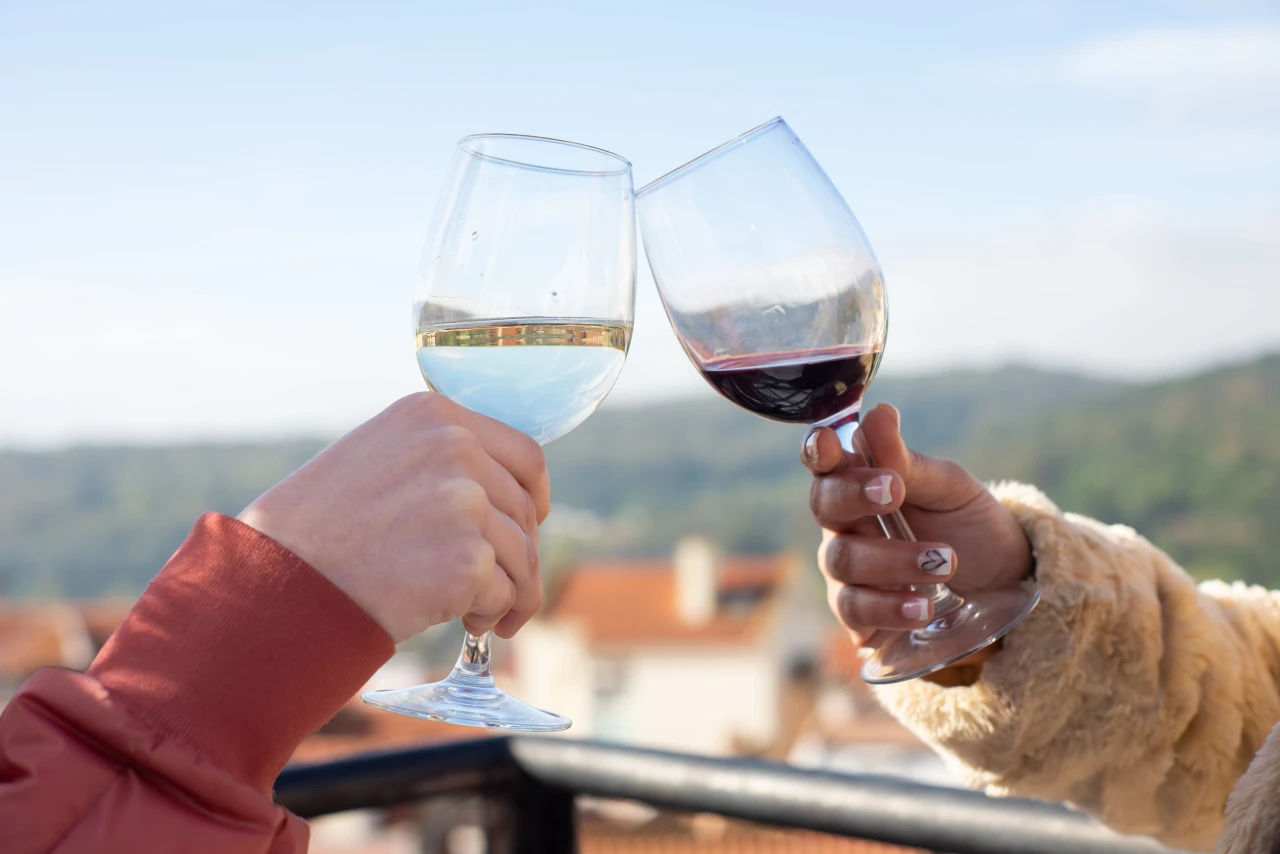 Cooperativas vinícolas del Douro: el secreto más auténtico del enoturismo en el valle