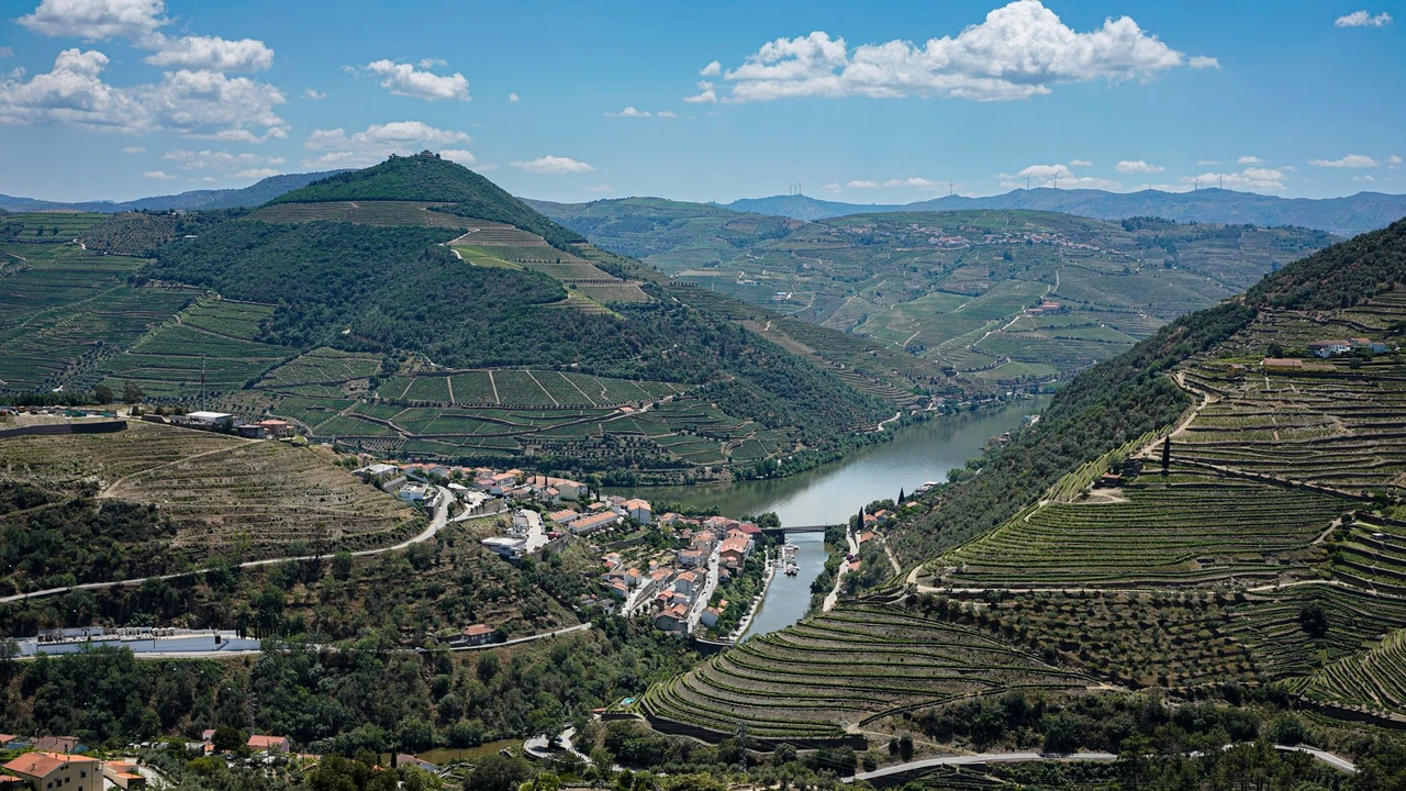 Aerial view of Douro Valley terraced vineyards and the river, the landscape that shapes the region's fine-dining scene