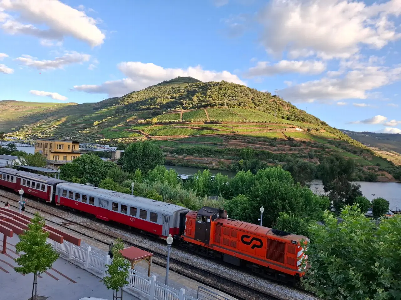 Comboio regional a atravessar as vinhas em socalcos do Vale do Douro, em Portugal