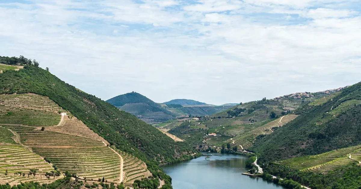 Quinta do Vallado: 300 Anos de História no Vale do Douro