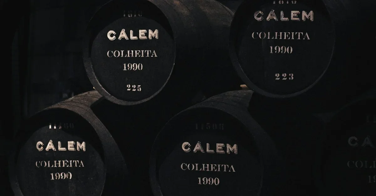 Enoturismo no Douro: Guia Completo para Principiantes