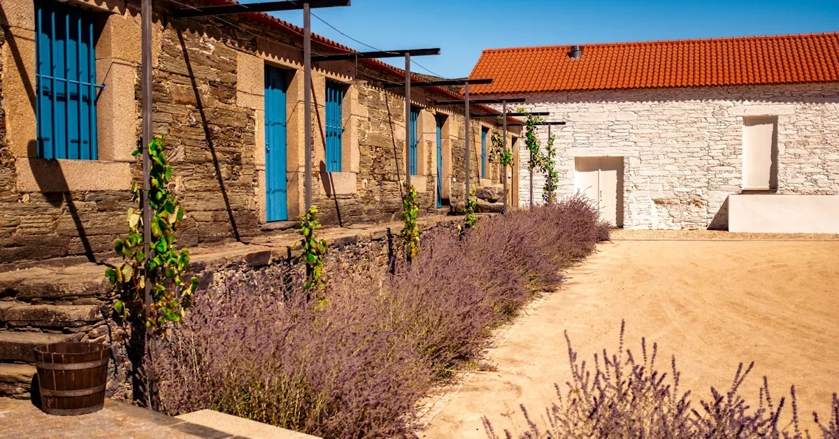 Quinta do Pégo: Turismo Rural com Vista para o Douro em Tabuaço
