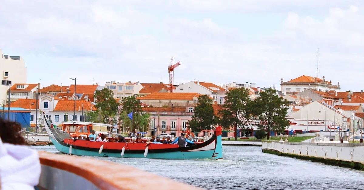 Douro River Cruises: The Best Boat Trips in 2026